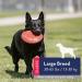 KONG Flyer Large - Durable Rubber Flying Disc Dog Toy | Buy Online - Buy Online on SooperMarket.com
