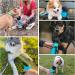 Pecute Dog Water Bottle (17oz/22oz) 2-in-1 Portable with Foldable Bowl | Leak-Proof Dispenser for Outdoor Walking, Hiking | Food-Grade Silicon, Blue - Buy Online on SooperMarket.com