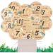 Funmo 15-Piece Baby Monthly Milestone Cards Double Sided Wooden Prop for Newborn Photography and Birth Announcements - Buy Online on SooperMarket.com