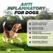 BUDDY'S BEST Anti-Inflammatory for Dogs - All-Natural Joint Pain Relief with Flaxseed Hemp Ginger & Turmeric Oils Soothing Formula 50ml - Buy Online on SooperMarket.com
