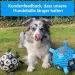 X Xben Dog Toys Ball - 20cm Interactive Football for Small & Medium Dogs | Durable Inflatable Perfect for Indoor & Outdoor Play - Buy Online on SooperMarket.com