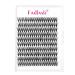 Individual Cluster Lashes Extensions 30D 0.07 C Curl 8-16mm Mixed Trays Extensions 200Pcs Individual Cluster Lashes DIY Eyelash Extensions at Home 8-16mm DH-30D-0.07-C
