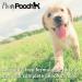 Pooch Tangle-Free Detangling Spray - Leave-In Conditioner for Dogs - 250ml - Buy Online on SooperMarket.com