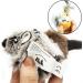 Vealind Interactive Cat Toy 2 Pack - Electronic Bird & Mouse with Sound | Ideal for Cats | Best Quality Pet Toys - Buy Online on SooperMarket.com