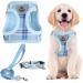 PUPTECK Dog Harness Small Dog with Collar and Lead Set Step-in No Pull Puppy Cat Harnesses for Daily Walking Blue M M: Chest girth: 40.6-45.7cm Collar: 30-40cm Blue