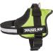 K9 Powerharness M/0 - Kiwi | Durable Dog Harness for Ultimate Comfort and Control | International Shipping Available - Buy Online on SooperMarket.com