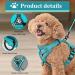 Fineasy Adjustable Cat Harness & Dishes - Safe Cat Neck Leash & Soft Harness for Cats | Green (M) - Buy Online on SooperMarket.com