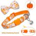 Fall Bow Tie Pumpkin Cat Collar Set with Bell | Autumn Thanksgiving Harvest Holiday Collar for Cats | Pumpkin Patch Design for Boys and Girls - Buy Online on SooperMarket.com