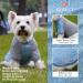KYEESE 2 Pack Dog Shirts | Quick Dry Raglan Sleeve | Soft & Stretchy | Lightweight Dog Clothes | Reflective Label | 21 Chest | Small to Medium Dogs | Blue & Grey | 2 Pack - Buy Online on SooperMarket.com