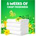 Gain Procter & Gamble Detergent 6/46oz - Premium International Shipping Available - Buy Online on SooperMarket.com