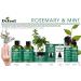 Difeel Rosemary and Mint Premium Hair Oil with Biotin 8 oz. - Natural Hair Growth Treatment - Buy Online on SooperMarket.com