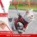 Rabbitgoo Adjustable Cat Harness & Leash Set - Reflective Soft Strap for Cats & Kittens - Red (1 Pack) - Ideal for International Shipping - Buy Online on SooperMarket.com