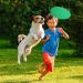 28 Pcs Colorful Soft Flying Discs for Kids & Pets - Bulk Rubber Disk Flyer Toy for Backyard Games & Parties - 7 Colors - Buy Online on SooperMarket.com