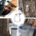 Premium Stainless Steel Maple Syrup Taps - Reusable Tree Water Taps for Family Farms & Gardens - Buy Online on SooperMarket.com