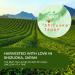 Benifuuki Japanese Green Tea 30 x Green Tea Bag Bundle for Ultimate Relaxation Japanese Tea Bags with Delicious Taste and Rich Aroma Harvested with Love in Japan - Buy Online on SooperMarket.com