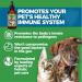 Animal Essentials Super Immune Support for Dogs & Cats - 1 fl oz | Promotes Healthy Immune System - Ol Complex - 2 fl oz - Buy Online on SooperMarket.com
