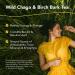 North American Herb & Spice Chag-o-Charge Tea - Chaga Mushroom & Birch Bark - 45 Servings for Energy & Antioxidants (3.2 oz) - Buy Online on SooperMarket.com