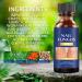Extra Strength Toe Nail Fungus Treatment - Effective Nail Repair Solution for Healthy Nails - Buy Online on SooperMarket.com