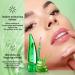 3pcs Aloe Vera Lip Gloss Set - Long Lasting, Nutritious, Moisturizing Lip Balm for Lip Treatment and Dry Lips - Color Changing Lipstick Tinted Lip Balm - Buy Online on SooperMarket.com