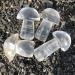 Home Decoration 40-50mm Crystal Mushroom Natural Clear Quartz Mushrooms Lovely Rose Crystal Gemstone Agaric Home Decoration Stones kaixun 1pc