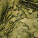 Tropical 3-Algae Flakes - 4 kg - Buy Online on SooperMarket.com