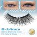 Pawotence Magnetic Eyelashes - No Glue No Eyeliner | Easy Wear Reusable Kit | Soft Magnets | 1 Pair Style III - Buy Online on SooperMarket.com