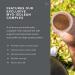 Isagenix IsaLean Shake - Superfood Meal Replacement Mix for Weight Management & Muscle Growth - 854g Canister (Creamy Dutch Chocolate) - Buy Online on SooperMarket.com