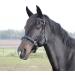 Solibel Trekking Bridle Black - Stainless Steel Thoroughbred Fit | International Shipping Available - Buy Online on SooperMarket.com