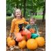 Organic Orange Baby Leggings | 12-18 Months | Soft & Sustainable - Buy Online on SooperMarket.com