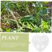 Gadpiparty Plant Vegetables Fruit for Outdoor Vegetable Pumpkin Watermelon - Buy Online on SooperMarket.com