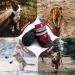 NeuWook Waterproof Dog Boots Set of 4 for Small Medium Large Dogs - Non-Slip and Wear-Resistant Protective Shoes with Reflective Straps - Size M Red - Buy Online on SooperMarket.com