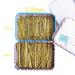 300 CT Hair Bobby Pins Set | Storage Box | 2.4 & 2 Sizes for Girls, Women | Blonde | Hair Accessories - Buy Online on SooperMarket.com