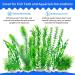 Artificial Aquarium Plants 20 Pack - Green Fish Tank Decorations by MyLifeUNIT - Buy Online on SooperMarket.com