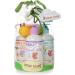 Little Twig Bath Time Bubbles Gift Set - Unscented/Lavender/Tangerine - 2.18 Pound - Buy Online on SooperMarket.com