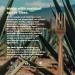 Sustainable Agave Co - Agave Fiber Forks - Plastic-Free Biodegradable Plant-Based - Brown Bulk - 1000 Count - Buy Online on SooperMarket.com