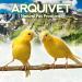 Arquivet Red Mirror for Bird Cages | 12x10 cm | Toys & Accessories for Canaries Budgies Agapornis & Parrots - Buy Online on SooperMarket.com