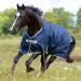 Bucas Freedom Turnout 125 Horse Blanket - Light Navy/Silver - International Shipping Available - Buy Online on SooperMarket.com
