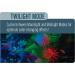 GloFish 4-mode Cycle Light for 20 Gallon Interactive Aquariums - Buy Online on SooperMarket.com