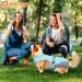 Dog Cooling Vest - Breathable Mesh Ice Jacket for Small, Medium, and Large Dogs - Adjustable Straps - Medium Blue - Buy Online on SooperMarket.com