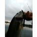 Real Fish Sink-O-Ring for Yamamoto Senko Worms | Soft Baits Rig O-Ring Tool | 3/8 inch Black - Buy Online on SooperMarket.com