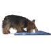 Furhaven Pet Products - ThermaNAP Cat Bed Pad ThermaNAP Dog Blanket Mat Self-Warming Waterproof Throw Blanket Muddy Paws Absorbent Towel Floor Rug and More