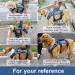 COODEO Dog Lifting Harness - Adjustable Breathable Support for Rehabilitation | Ideal for Old & Disabled Pets - Blue - International Shipping - Buy Online on SooperMarket.com