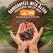 Kaimana Jerky Ahi Tuna Sampler Bundle - All-Natural Wild Caught Tuna Jerky | 9g Protein & Omega-3s | Made in USA (5 Pack) - Buy Online on SooperMarket.com