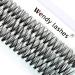Individual Cluster Lashes D Curl 0.07mm 14mm 30 Root Cluster Eyelash Extensions Grafting Individual Cluster Eyelashes 30D DIY Lashes Clusters Lash Extensions(Clusters-30D-0.07-D-14) RR-14mm Clusters-30D-0.07-D