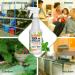 Mighty Mint 16oz Natural Peppermint Oil Spray - Cockroach Repellent - Buy Online on SooperMarket.com