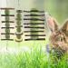 Erkoon Natural Timothy Hay Rabbit & Small Animal Chew Cubes | Dental Care Treats for Hamsters Chinchillas Guinea Pigs & More - Buy Online on SooperMarket.com