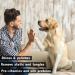 PETSILK Silk Sheen - Luxurious Pet Grooming Silk Serum - Buy Online on SooperMarket.com