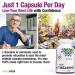 PlantVital High Potency L-Theanine 250mg Capsules - 240 Count - L Theanine Supplement for Relaxation and Stress Management Non-GMO Made in Canada - L-Theanine Supplements 8 Month Supply 240 count (Pack of 1) - Buy Online on SooperMarket.com