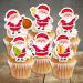PRECUT Christmas Santa Cupcake Toppers Edible Santa Cake Decorations Christmas Decorations Santa Cake Topper (12) - Buy Online on SooperMarket.com