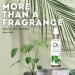 Ola Tropical Apothecary Rainforest Scented Deep Sea Mist - 4 Fl Oz Rainforest 4 Fl Oz - Buy Online on SooperMarket.com